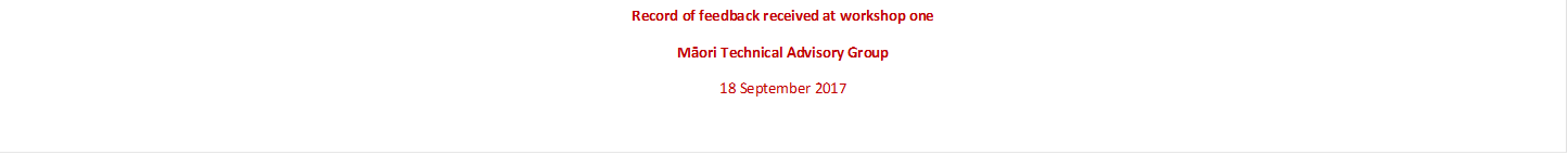 Record of feedback received at workshop one
Māori Technical Advisory Group
18 September 2017

