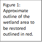 Figure 1: Approximate outline of the wetland area to be restored outlined in red.