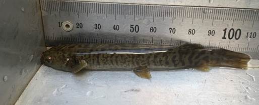 A picture containing device, concrete

Description automatically generated