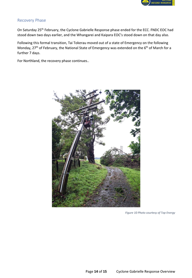 A picture containing text, screenshot, tree, plant

Description automatically generated