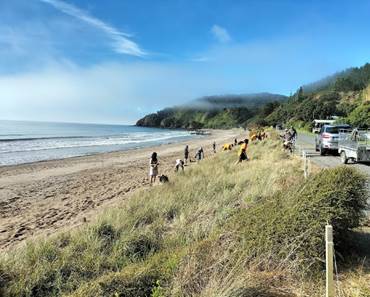 A group of people on a beach

Description automatically generated
