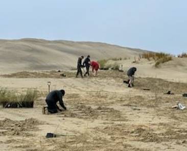 A group of people digging in the sand

Description automatically generated