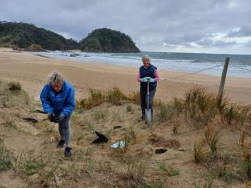 A couple of women digging on a beach

Description automatically generated