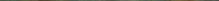 A group of women in the woods

Description automatically generated