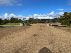 A dirt field with trees and a bridge

Description automatically generated