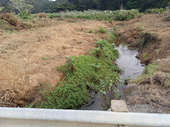 A stream running through a dirt field

Description automatically generated
