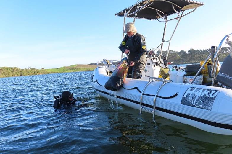 A scuba diver and a person on a boat

Description automatically generated