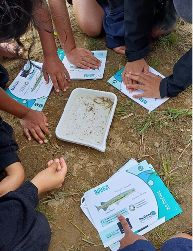 A group of people sitting on the ground with a tray of paper and a fish

Description automatically generated