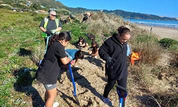 A group of people digging a path

Description automatically generated