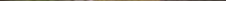 A room with a black table and a plant on the floor

Description automatically generated