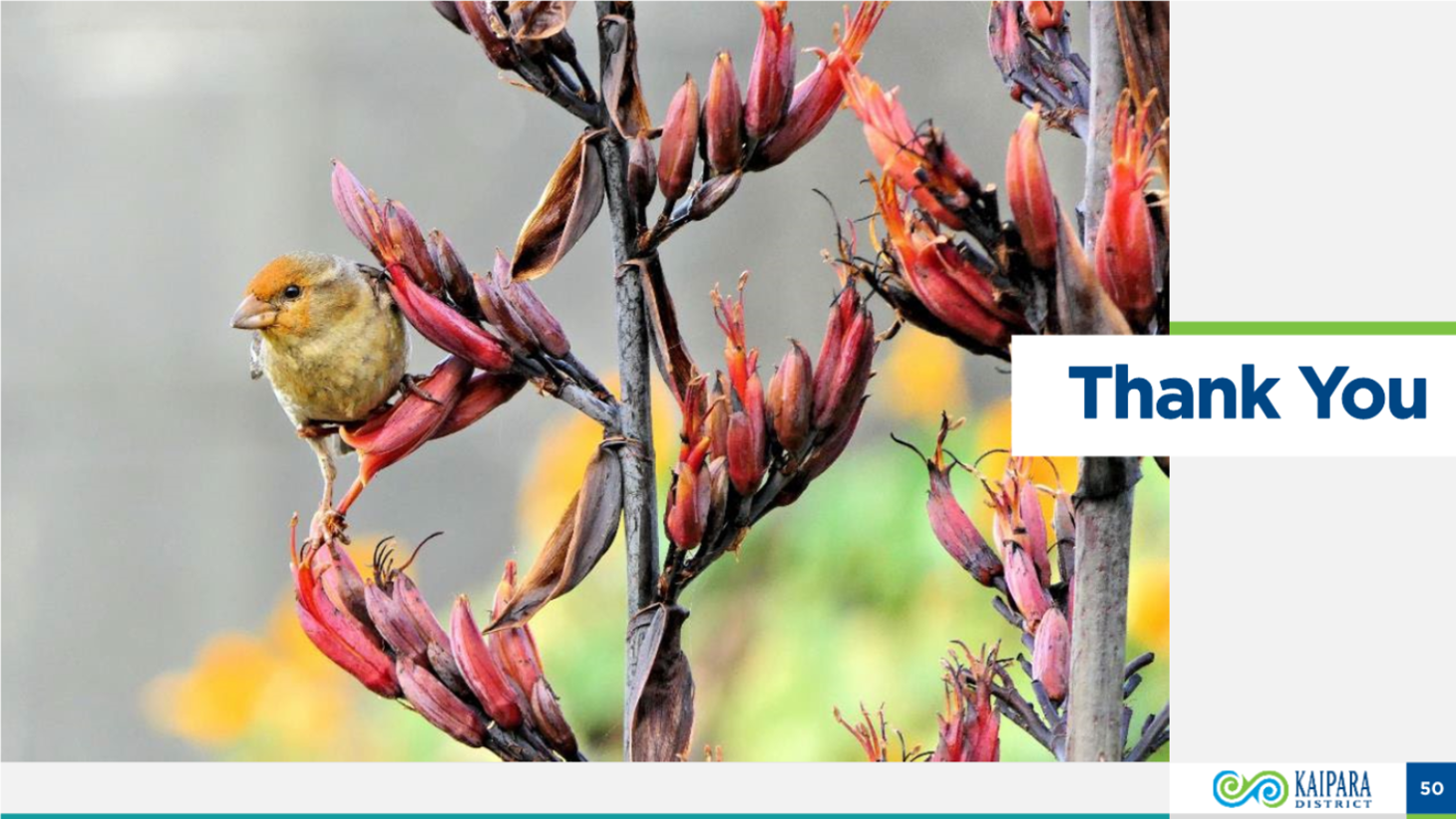 A close up of a plant

Description automatically generated
