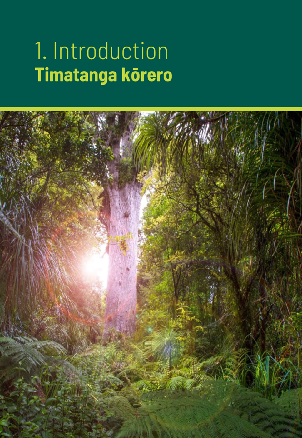 A book cover with a green background

Description automatically generated