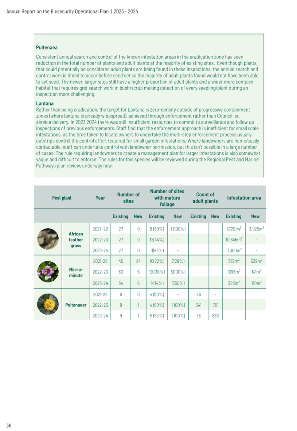 A screenshot of a document

Description automatically generated