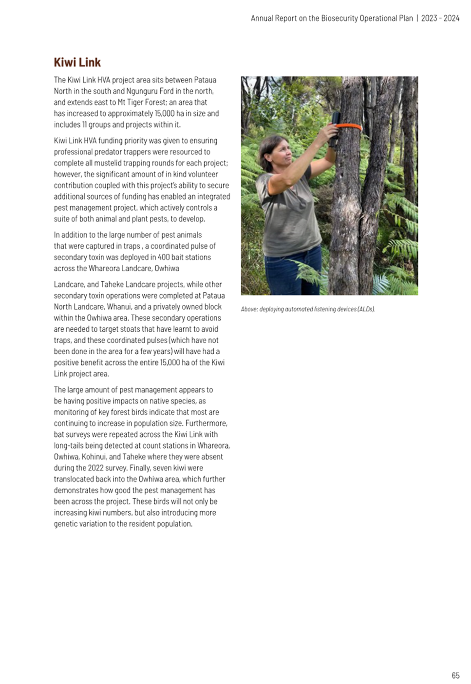 A person using an ax to cut a tree

Description automatically generated