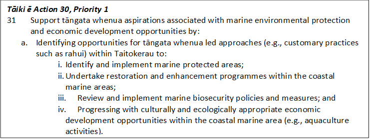 Tāiki ē Action 30, Priority 1
31 	Support tāngata whenua aspirations associated with marine environmental protection 	and economic development opportunities by:
a.	Identifying opportunities for tāngata whenua led approaches (e.g., customary practices such as rahui) within Taitokerau to:
i.	Identify and implement marine protected areas;
ii.	Undertake restoration and enhancement programmes within the coastal marine areas;
iii.	Review and implement marine biosecurity policies and measures; and
iv.	Progressing with culturally and ecologically appropriate economic development opportunities within the coastal marine area (e.g., aquaculture activities).
