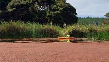 A red sand with trees and grass

Description automatically generated with medium confidence