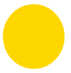 A yellow circle with white background

Description automatically generated