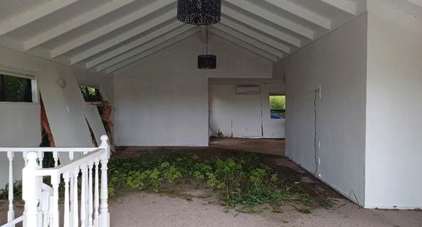 A room with plants growing on the ground

Description automatically generated