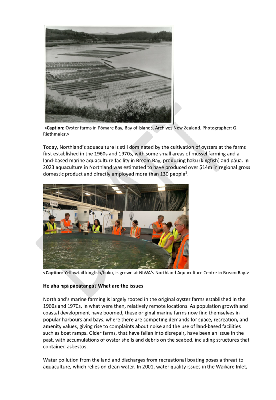 A group of people in orange vests

AI-generated content may be incorrect.