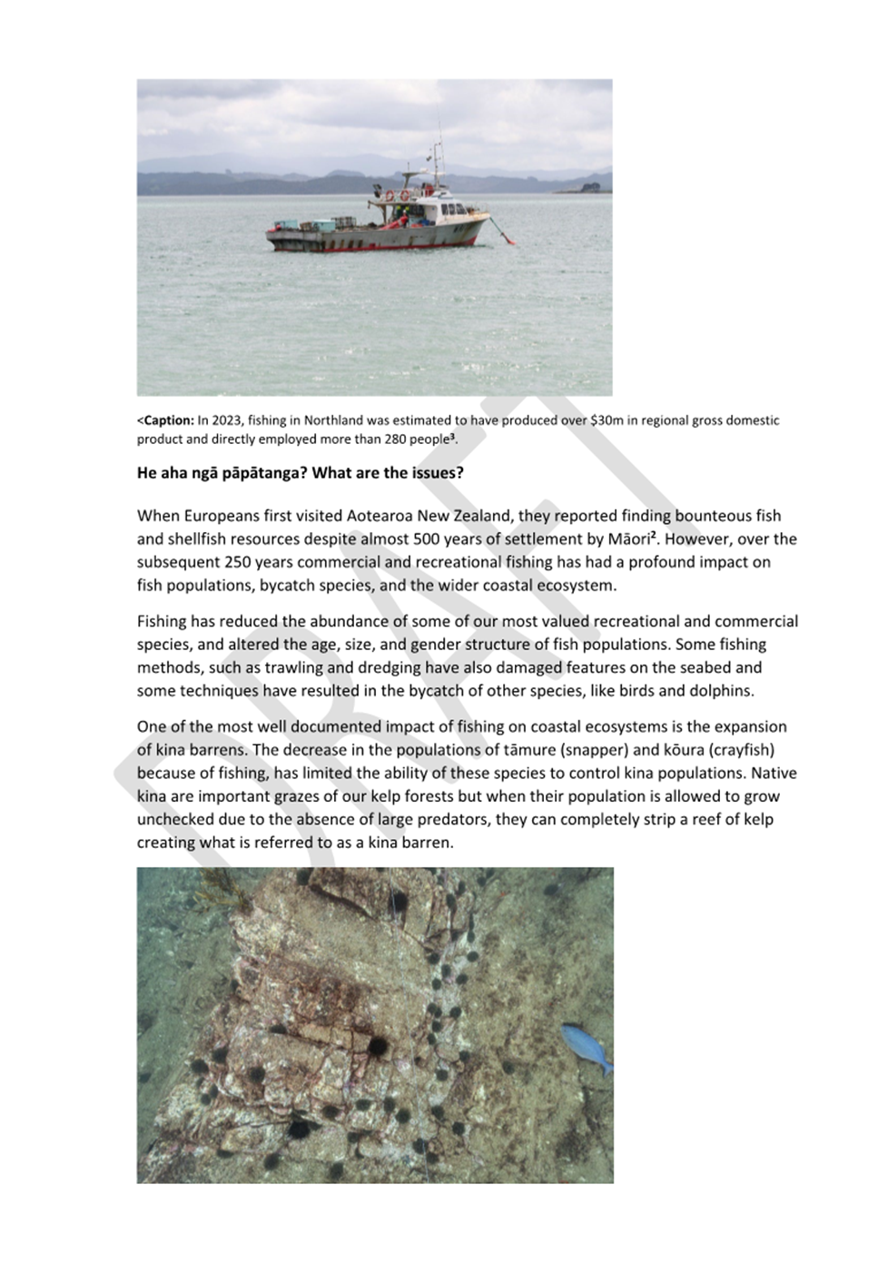 A boat in the water

AI-generated content may be incorrect.