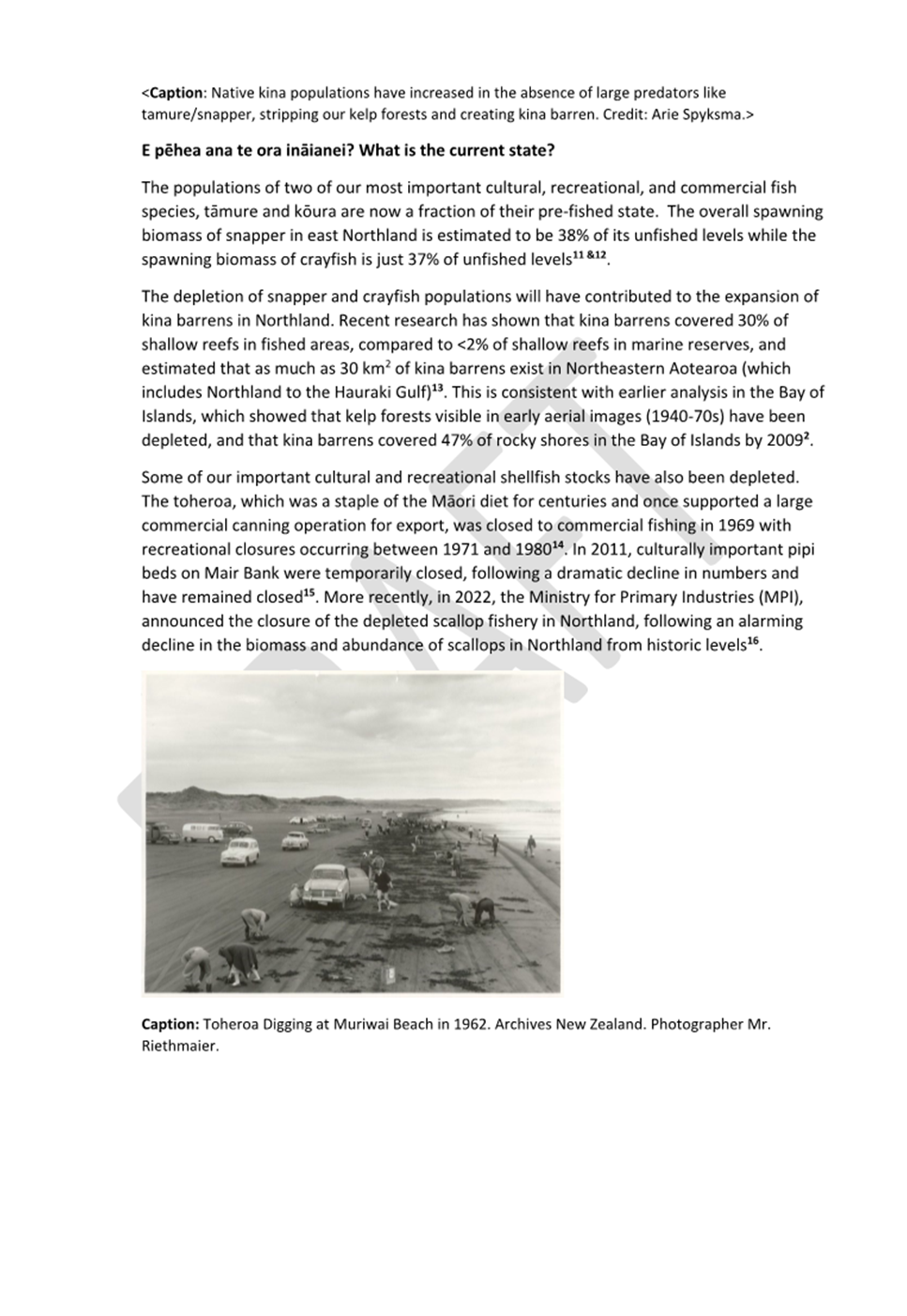 A page of a document with text

AI-generated content may be incorrect.