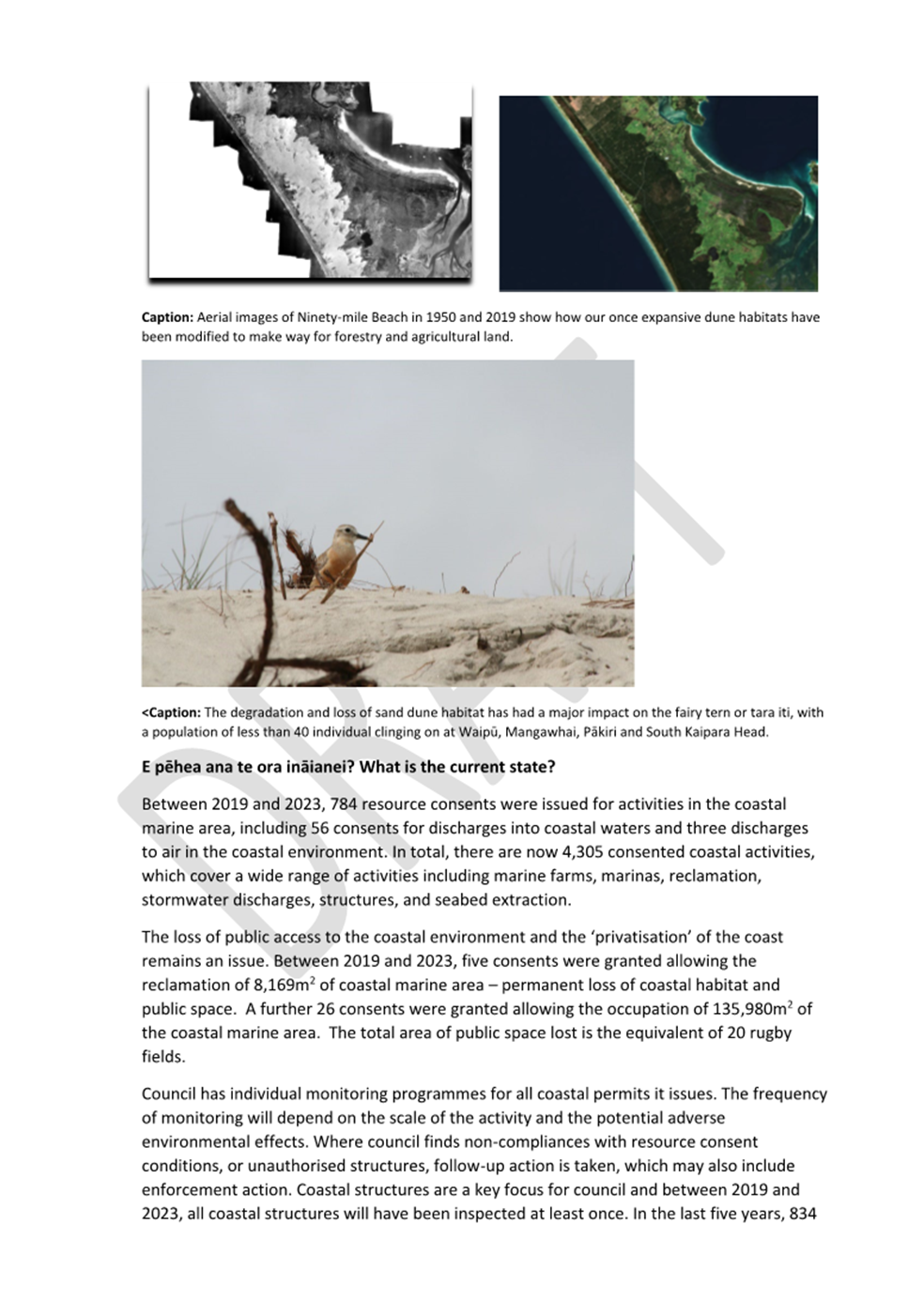A close-up of a bird

AI-generated content may be incorrect.