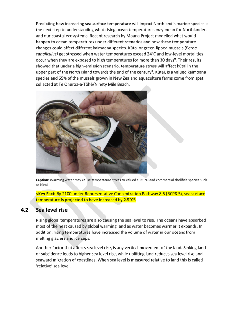 Close-up of a text on a page

AI-generated content may be incorrect.