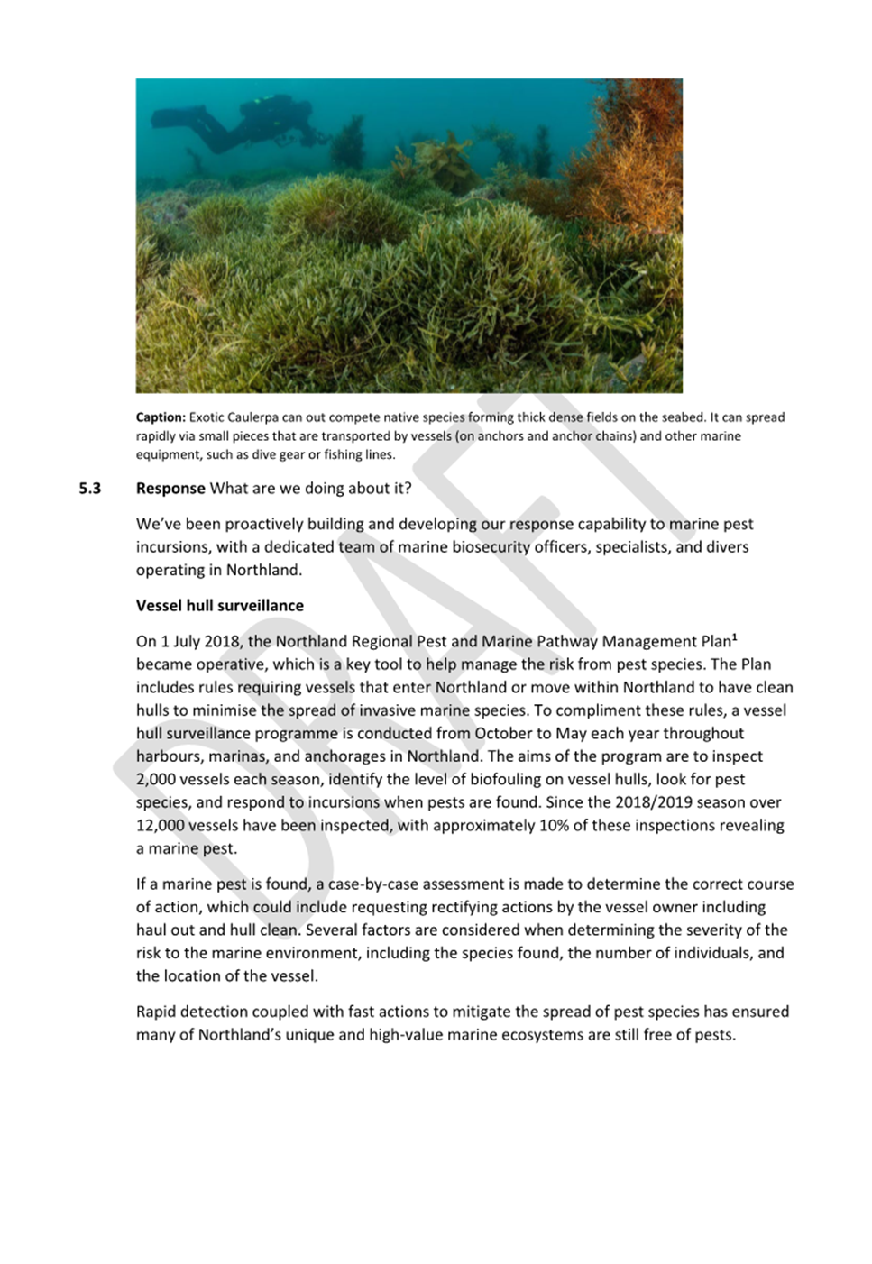 A page of a book with text

AI-generated content may be incorrect.