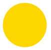 A yellow circle with white background

Description automatically generated