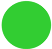 A green circle with white background

Description automatically generated