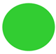 A green circle with white background

Description automatically generated