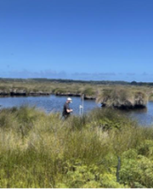 A person standing in a field

AI-generated content may be incorrect.