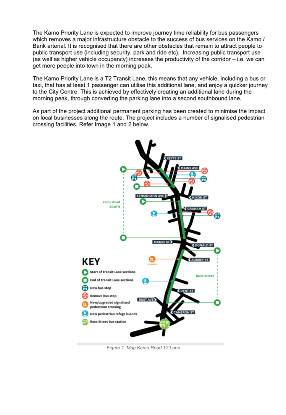 A diagram of a plant

AI-generated content may be incorrect.