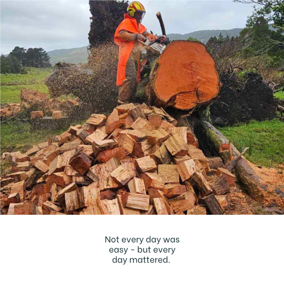 A person cutting a tree

AI-generated content may be incorrect.
