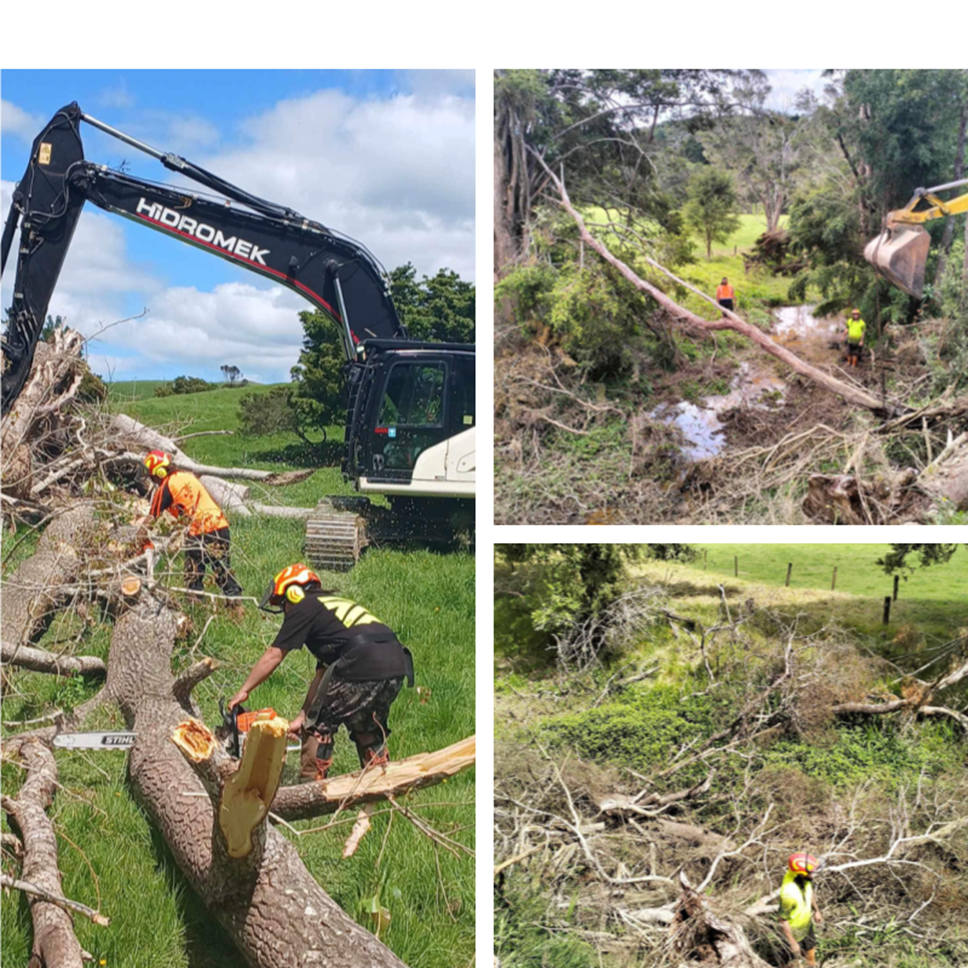 A collage of people cutting down trees

AI-generated content may be incorrect.