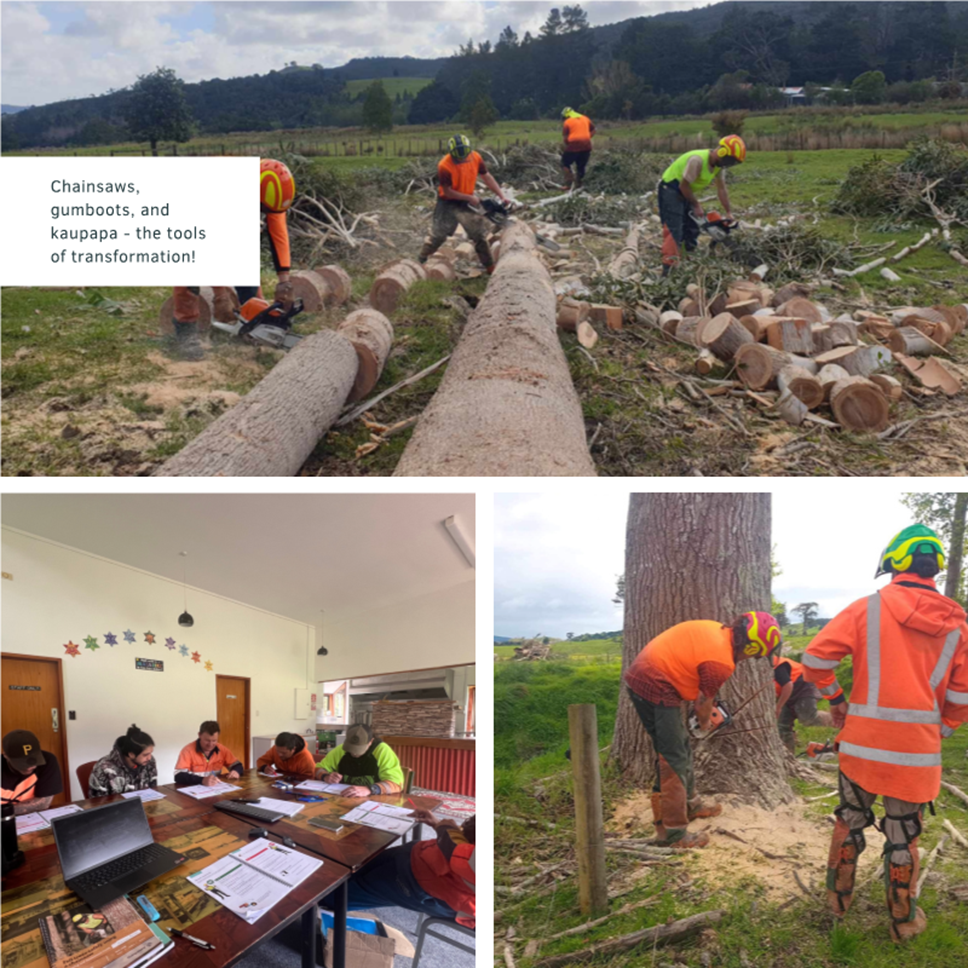 A group of people working in a forest

AI-generated content may be incorrect.