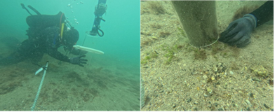 Group 8, Grouped object